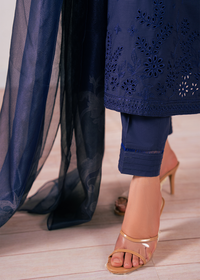 Navy Chikankari Suit