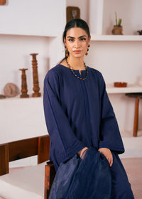 Navy Chikankari Suit