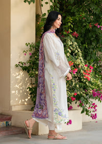 Ari White Festive Lawn
