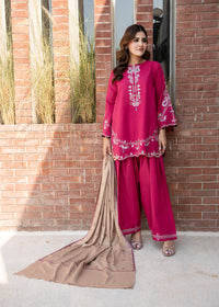 Beige Embroidered Wool Shawl