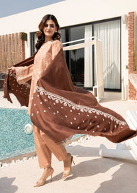Brown Embroidered Wool Shawl