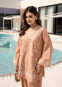 Dusty Peach Embroidered Khaddar Suit