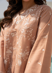 Dusty Peach Embroidered Khaddar Suit