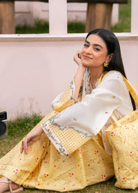Sunny Yellow Printed Embroidered Suit