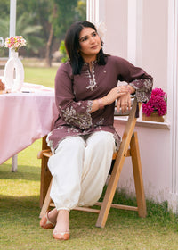 Chocolate Brown Embroidered Suit