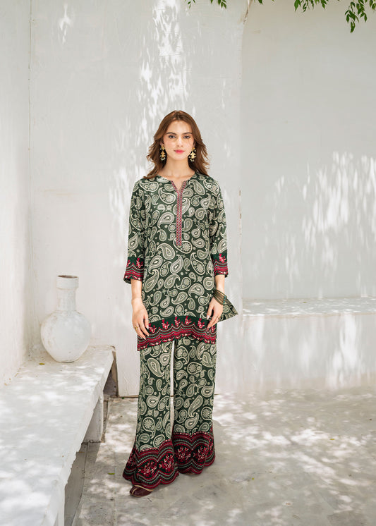 2 piece printed lawn suit