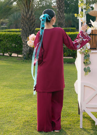 Plum Embroidered Suit