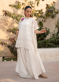 Lily White Net Festive Pret