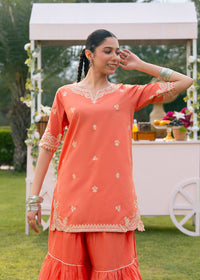 Coral Embroidered Sharara Suit