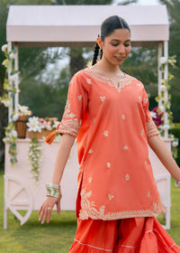 Coral Embroidered Sharara Suit