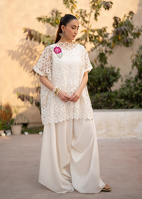 Lily White Net Festive Pret