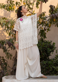 Lily White Net Festive Pret