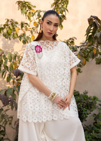 Lily White Net Festive Pret