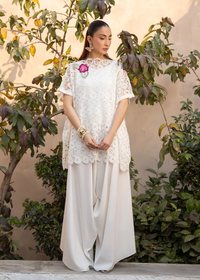 Lily White Net Festive Pret