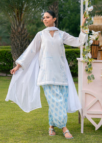 Pastel Blue Printed Embroidered Suit