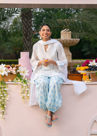 Pastel Blue Printed Embroidered Suit