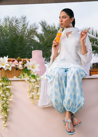 Pastel Blue Printed Embroidered Suit