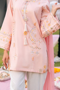 Pastel Pink Embroidered Suit