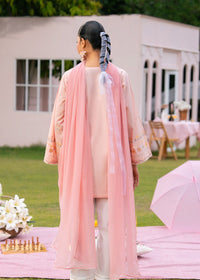Pastel Pink Embroidered Suit