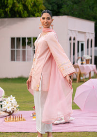 Pastel Pink Embroidered Suit