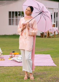 Pastel Pink Embroidered Suit