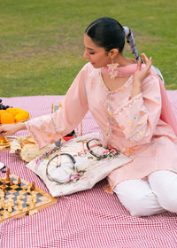 Pastel Pink Embroidered Suit