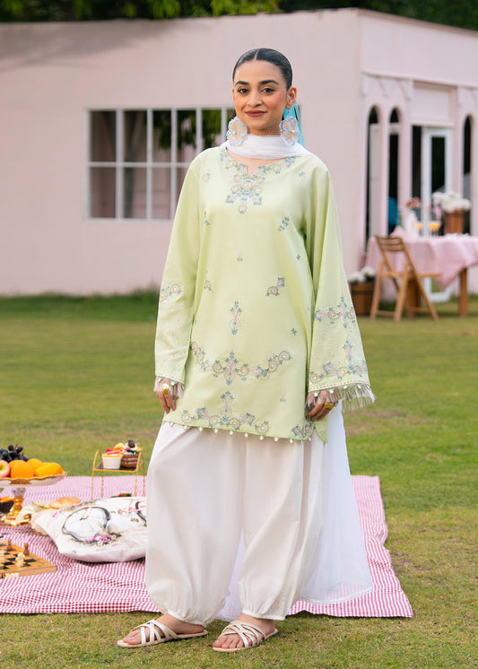 Sage Green Embroidered Suit