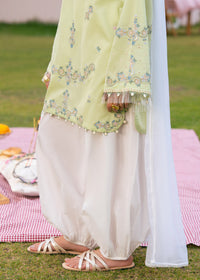 Sage Green Embroidered Suit