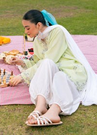 Sage Green Embroidered Suit