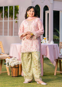 Baby Pink Printed Embroidered Suit