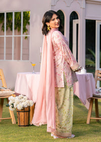 Baby Pink Printed Embroidered Suit