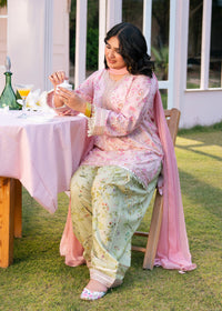 Baby Pink Printed Embroidered Suit