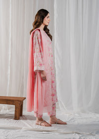 Seashell Pink Printed Suit