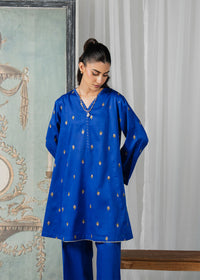 Blue Embroidered Suit