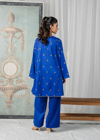 Blue Embroidered Suit