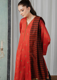 Rust Embroidered Suit