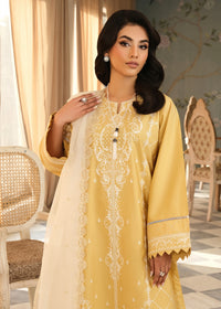 Mustard Embroidered Suit